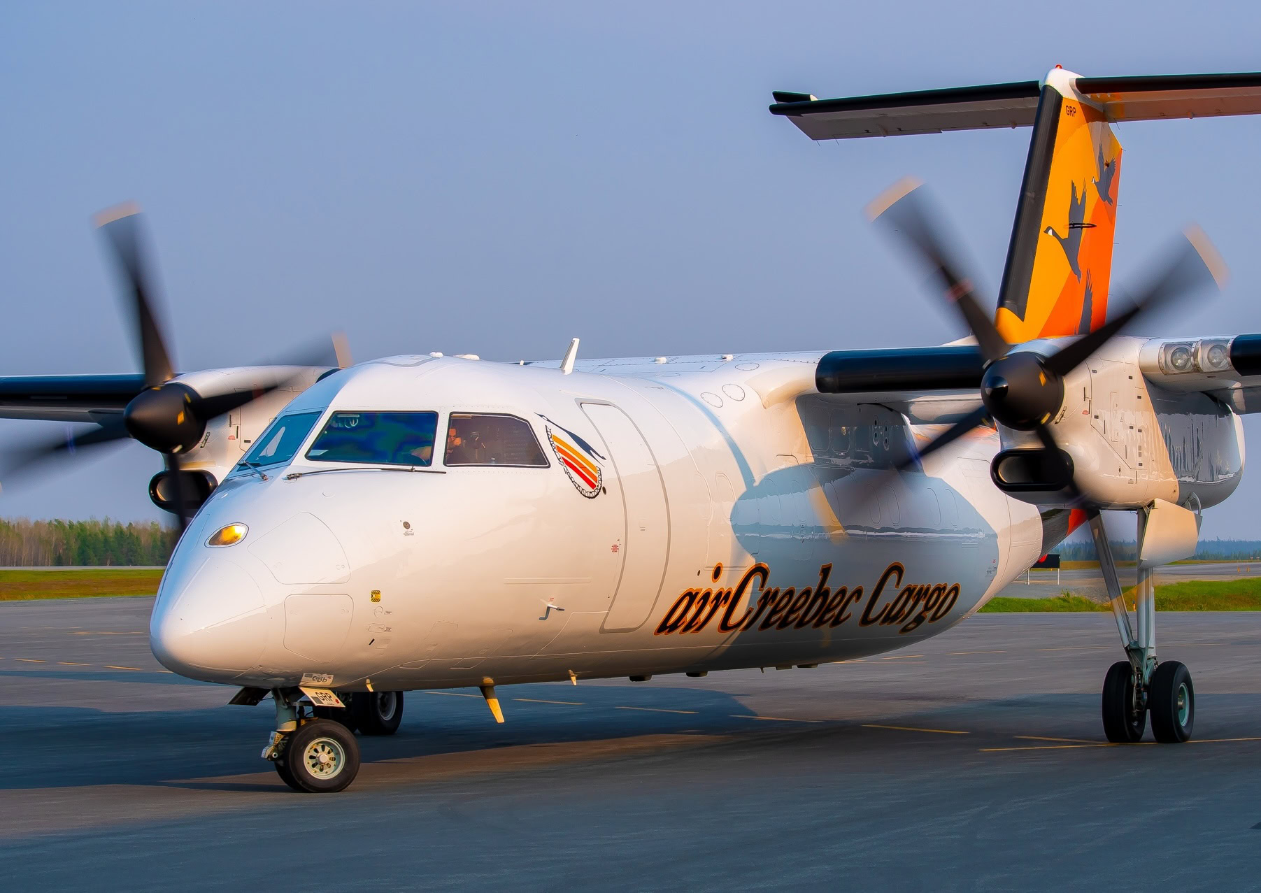 Dash 8-100 Freighter