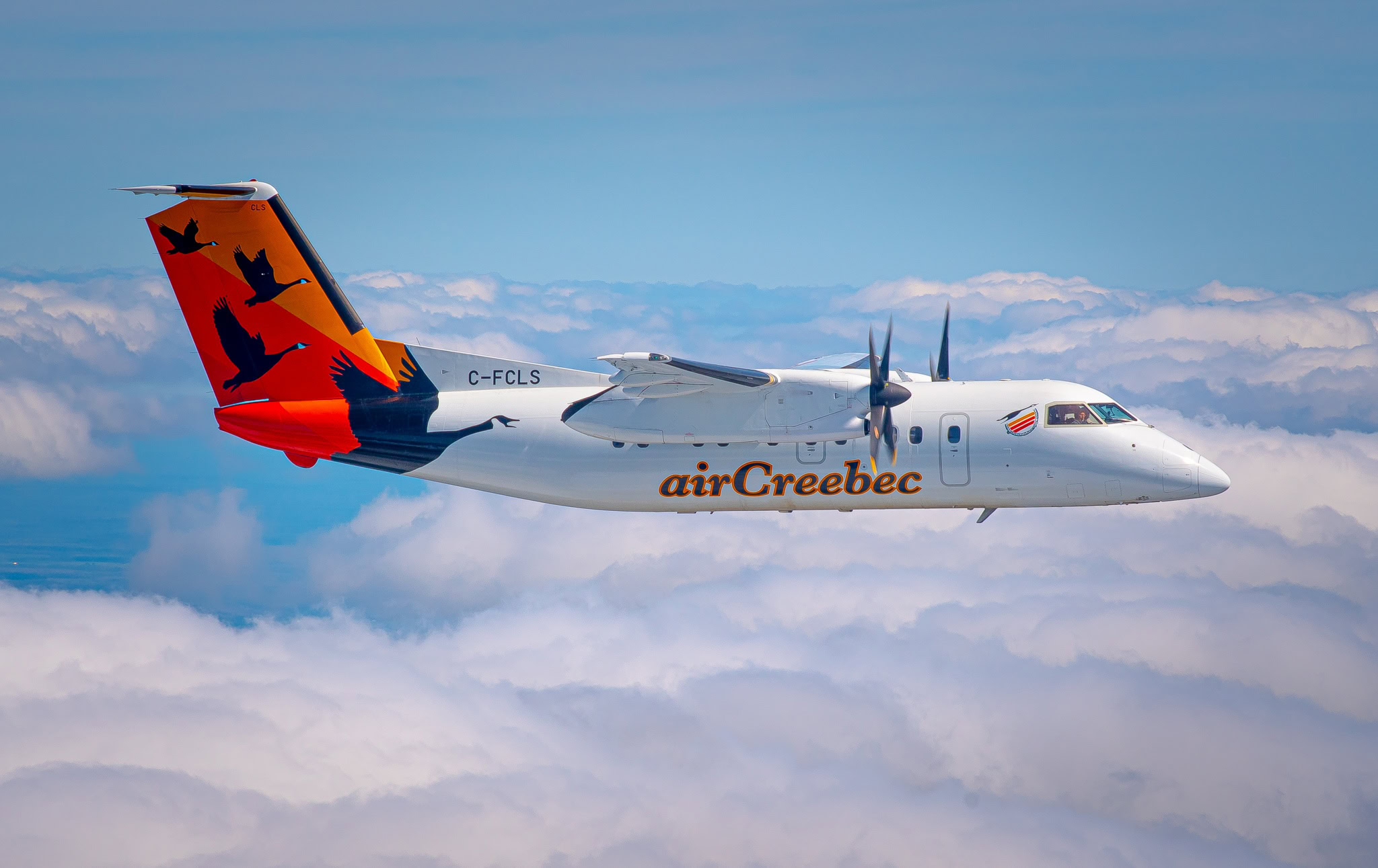 Dash 8-100