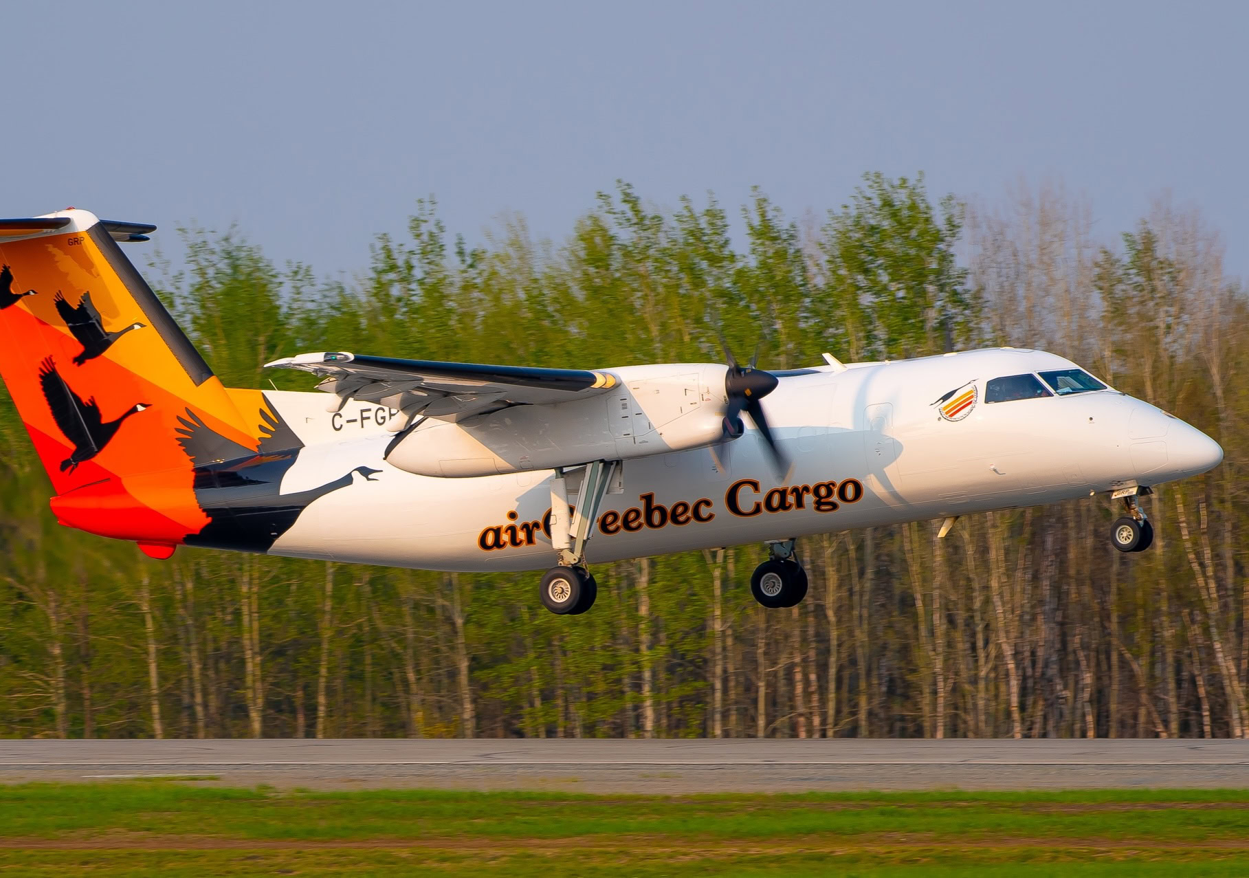 Dash 8-100 Freighter